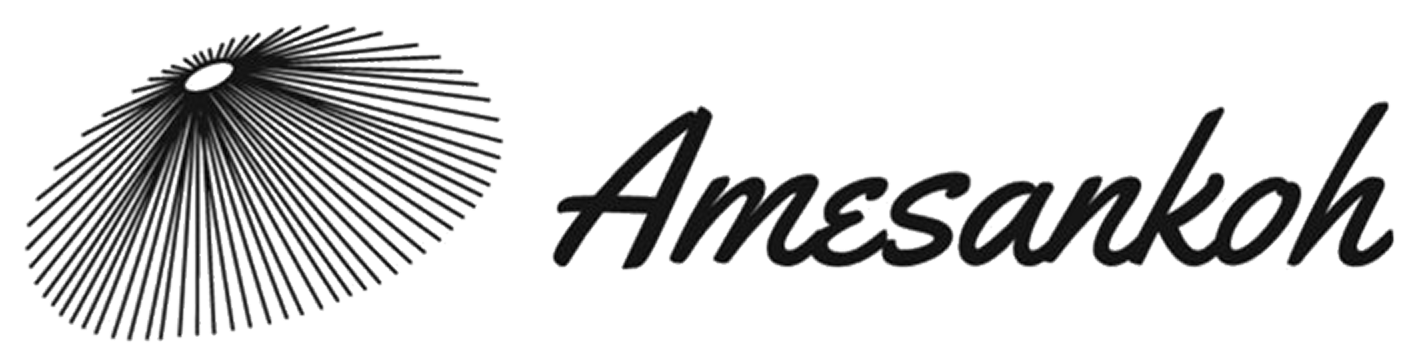 株式会社Amesankoh