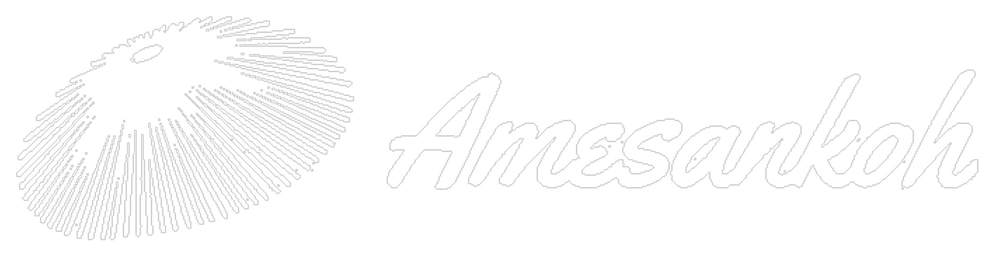 株式会社Amesankoh