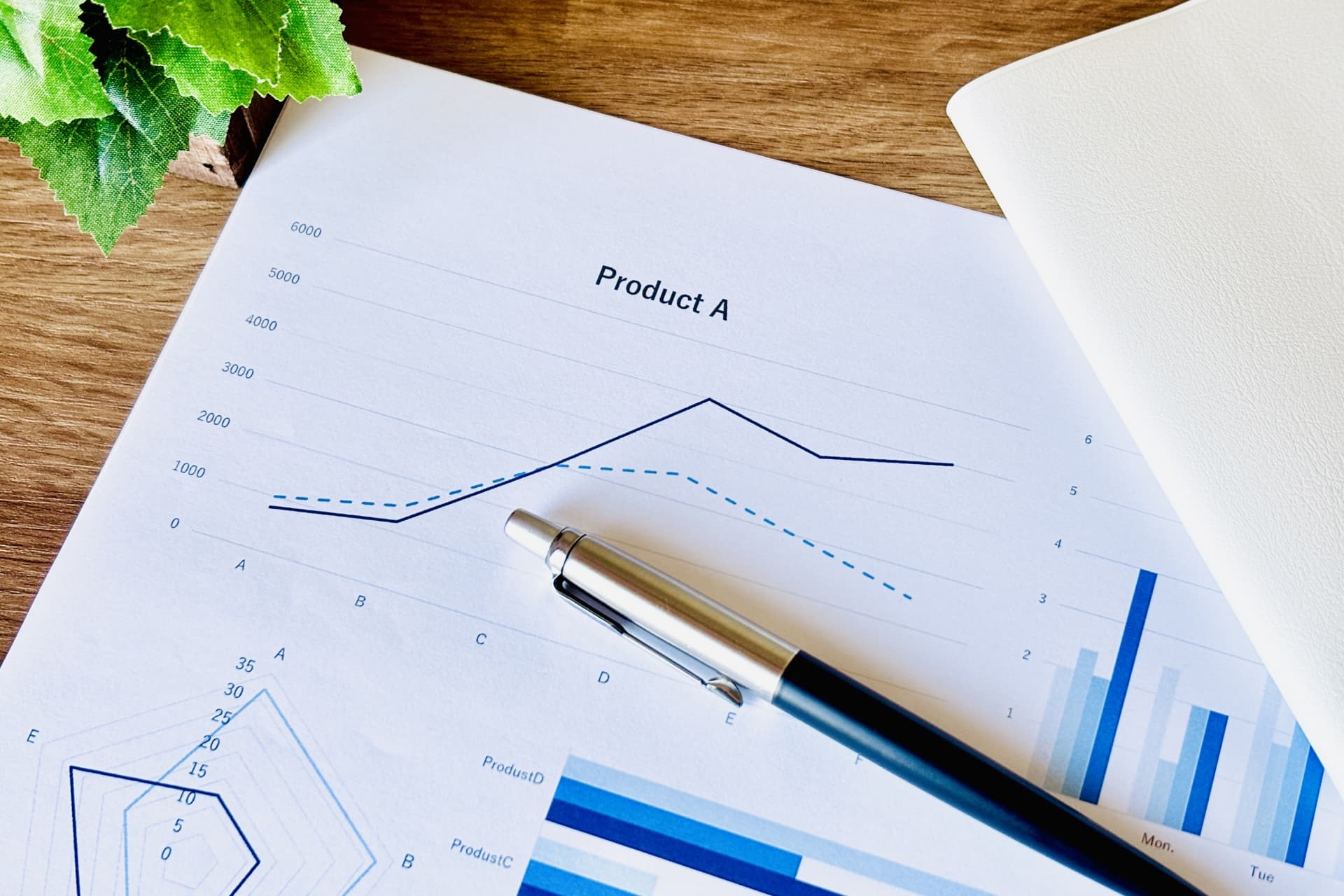 戦略・業務コンサルティング